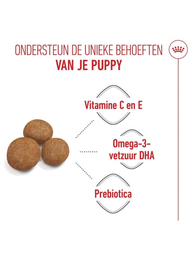 Royal Canin Maxi Poppy Dry Food for Small Dogs 4kg - Image 2